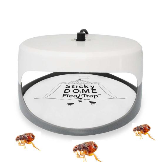 Нетоксичный домашний светодиодный светильник для домашних животных, липкая ловушка для блох, инструмент для борьбы с вредителями, ловец-убийца