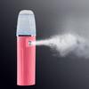 Spray Hydrator Cold Spray Machine Beauty Face Steamer Household Small Face Humidifier Portable Face Steamer