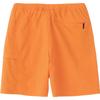 The North Face Mountain Color Short Kelp Tan M