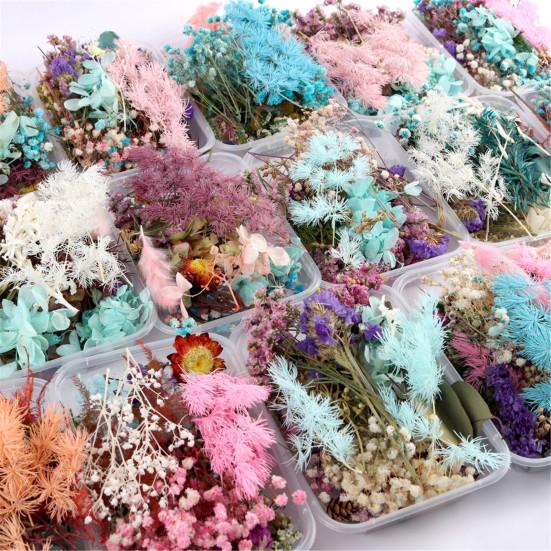Real Dried Flower Material Plant Specimen Making Scrapbook Crafts Accessories