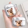 Прозрачные Чехлы для Наушников Чехол Для Airpods Pro2 2 Pro3 4 Pro 3 1 Забавный Рисунок Кошки Собаки