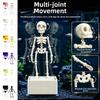 Plastic Dancing Skeleton Aquarium Ornament Movable Oxygen Skeleton  Aquariums Enthusiasts