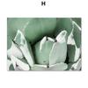 White Tulip Succulents Monstera Plant Wall Art Canvas Painting Nordic Posters And Prints Wall Pictures For Living Room Decor