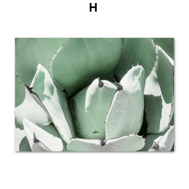 White Tulip Succulents Monstera Plant Wall Art Canvas Painting Nordic Posters And Prints Wall Pictures For Living Room Decor