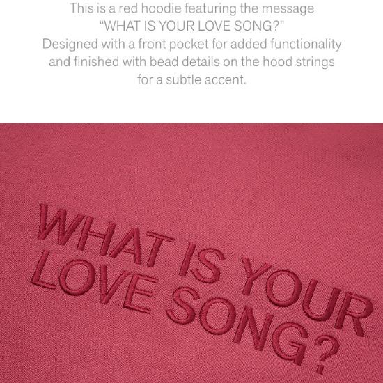 Предзаказ худи BTS ARIRANG