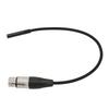 18 Inch To XLR Female Cable Balanced 3.5mm Female Stereo Mini Jack To XLR Female Adapter Cable