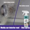 RAYHONG Средство для удаления плесени с автомобиля, для ткани обивки потолка салона, кожи сидений, плесени, для точечной очистки и ухода