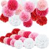 Paper Pom Pom Honeycomb Ball Set of 15 Paper Flowers Party Paper Pom Pom Birthday Graduation Decoration Wedding Decoration Interior Wedding Ph