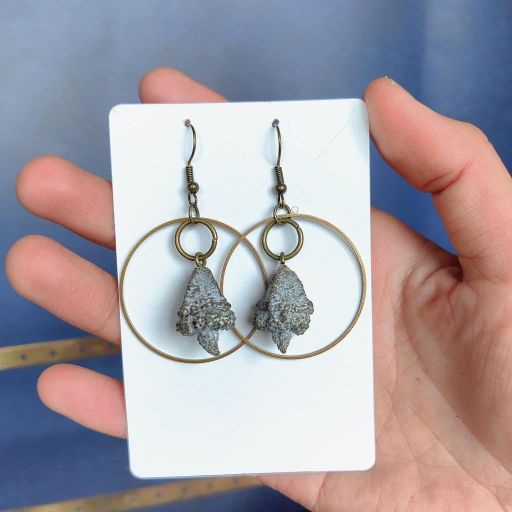 Фруктовые Серьги - Ручная Работа, Серьги из Натуральных Сушеных Фруктов, Ретро Китайская Медицина, Этнический Стиль, для Женщин.