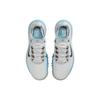 Nike Мужские кроссовки Tiger Woods 2013 Retro Blue Lightning Серые Photon-Dust Light-Smoke-Grey DR5752-001