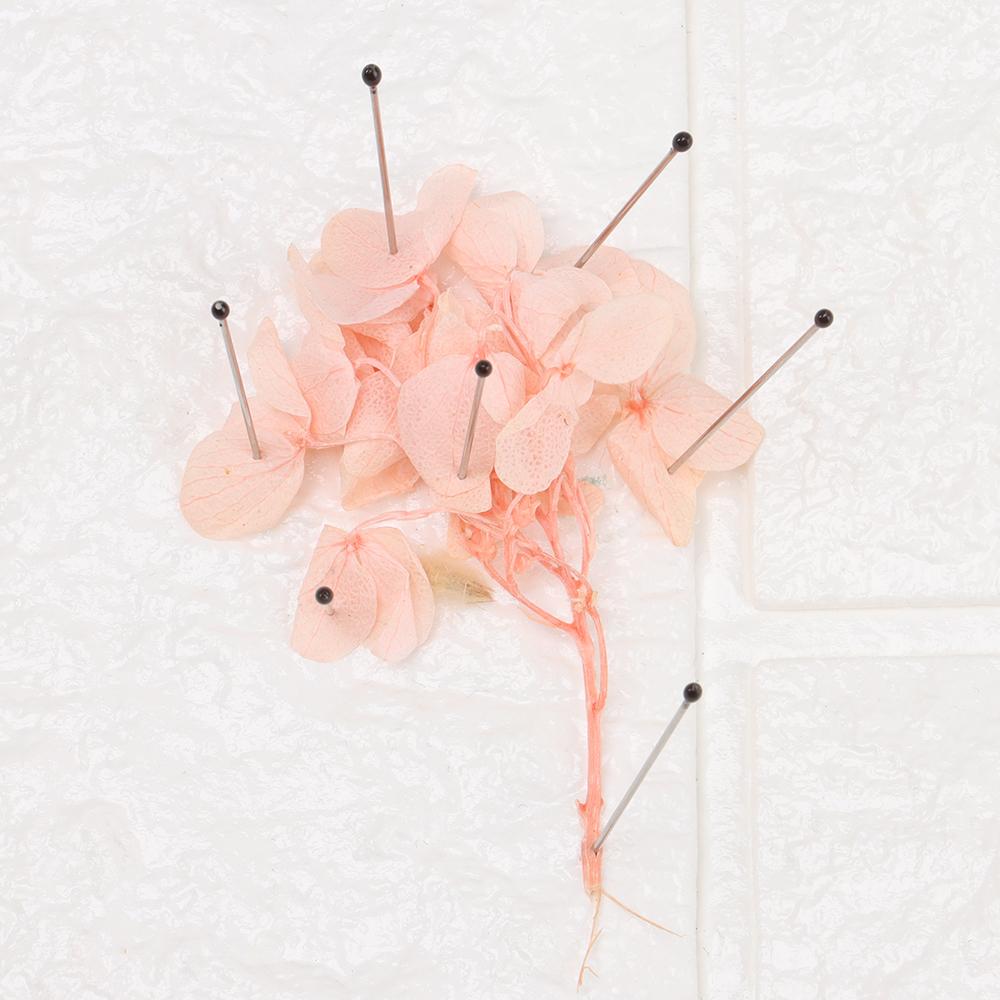 Хорошая гибкость, лабораторные аксессуары, образовательная игольная булавка, булавки для образцов, принадлежности для вскрытия насекомых