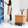 Computing Digital Platform Scale, 300 kg Load, 50 g High Accuracy, Electronic Floor Scale with LB/KG, Tare, Price Calculator, AC/DC Power Supply, Fit