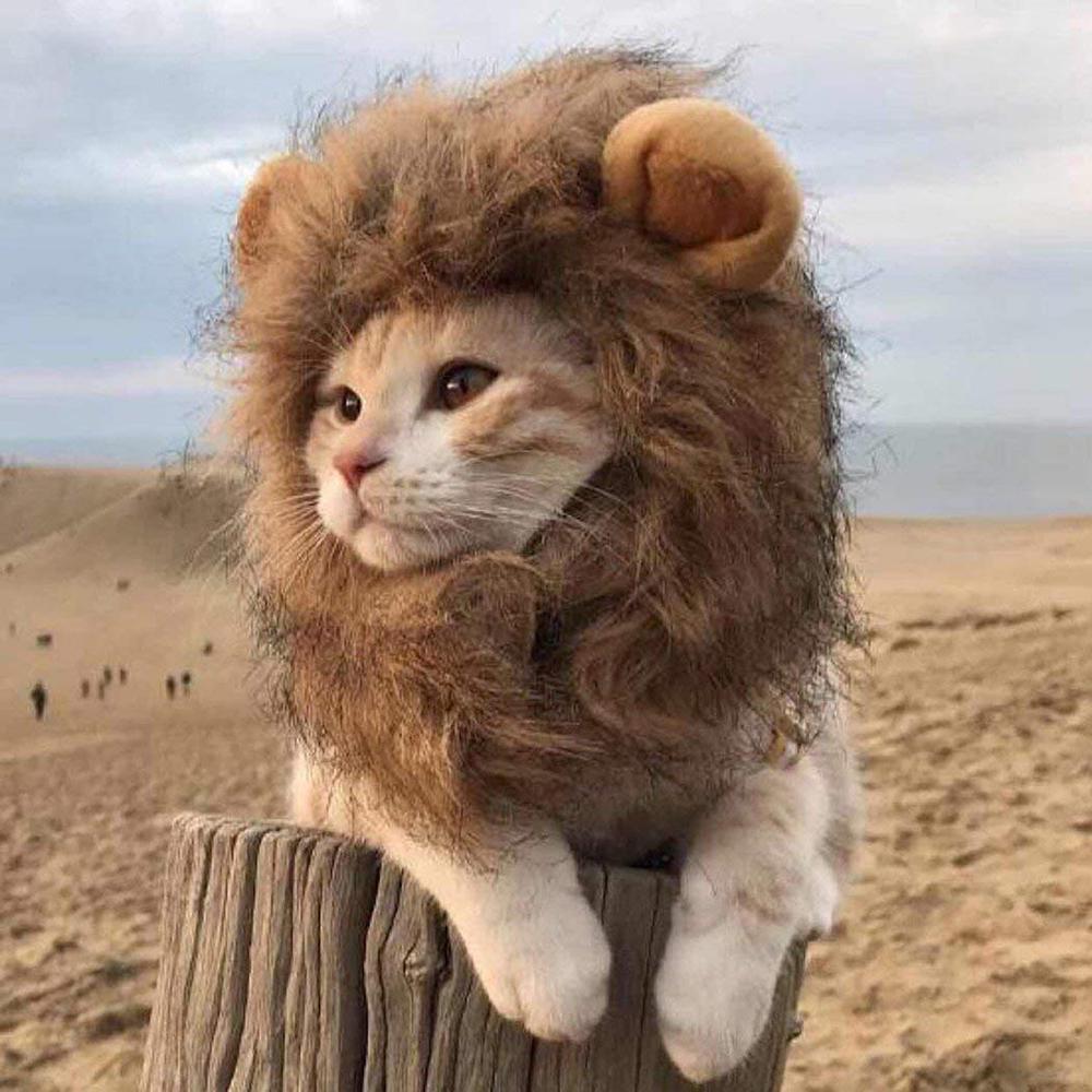 Кошка, грива, костюм льва, костюм льва, парик из волос для собак, кошек, домашних животных, подарок на Хэллоуин, Рождественскую вечеринку