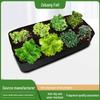 Multi-Grid Square Felt Vegetable Planting Bags