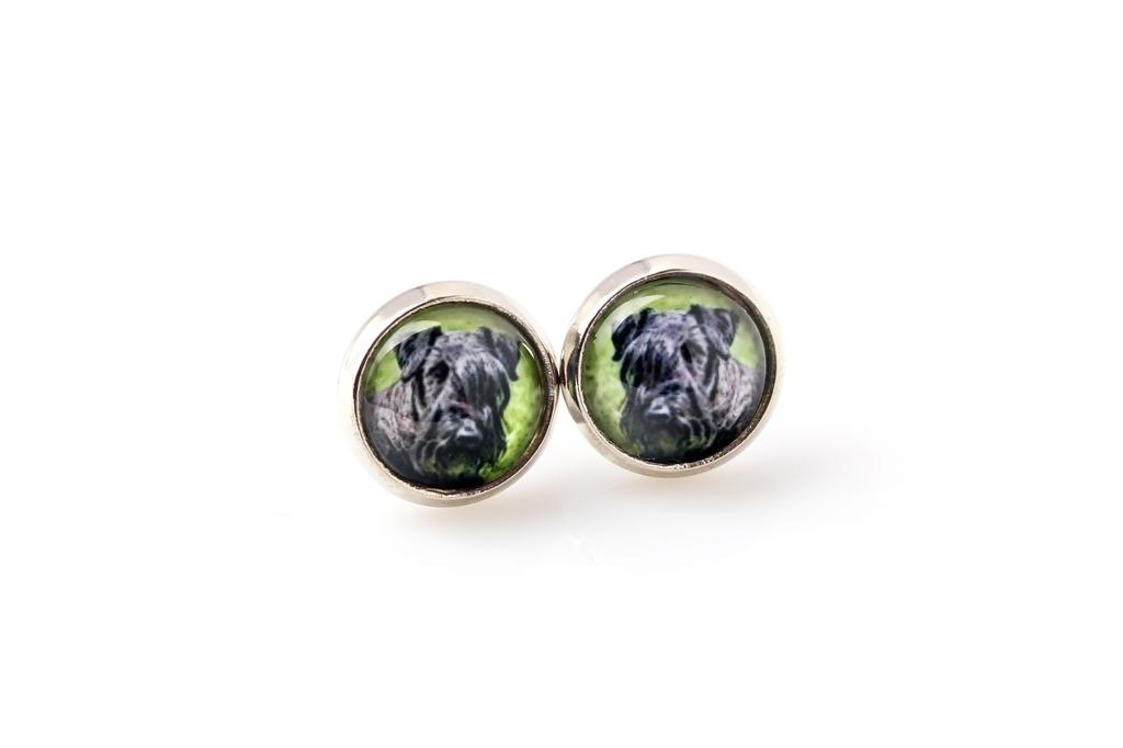 Cesky Terrier, Czech Terrier, Bohemian Terrier – Earrings your photo handmade, own photo | Art-Dog