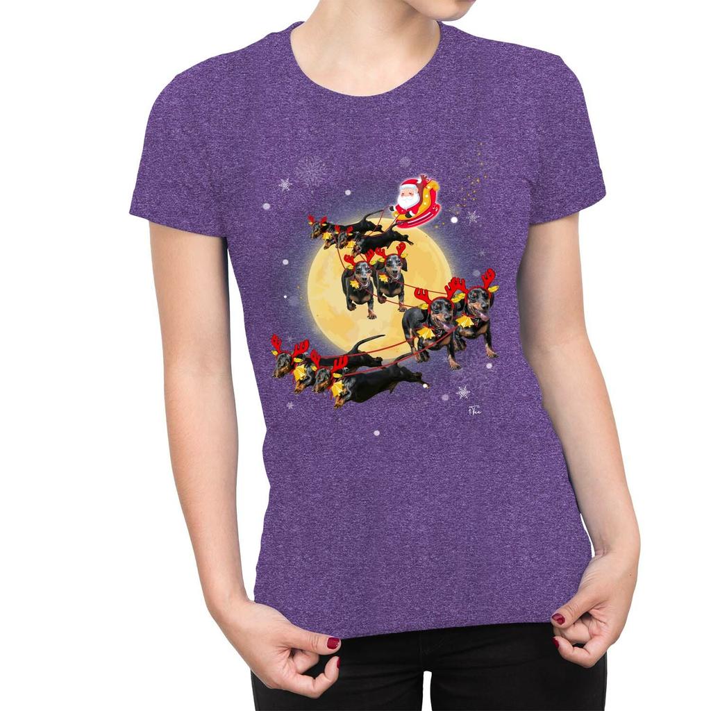 1Tee Womens Santas Sleigh Pulled by Dogs T-Shirt
