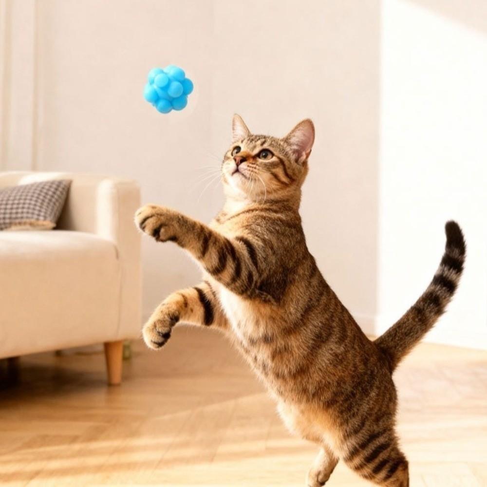 High Elasticity Bouncy Ball Bite-resistant Kitten Toy Durable Interactive Cat Toy Interactive Play