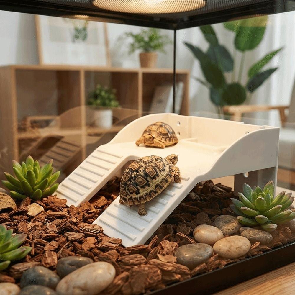 with Suction Cups Turtle Basking Platform Double Ladder Reptile Terrace  Aquatic Turtles