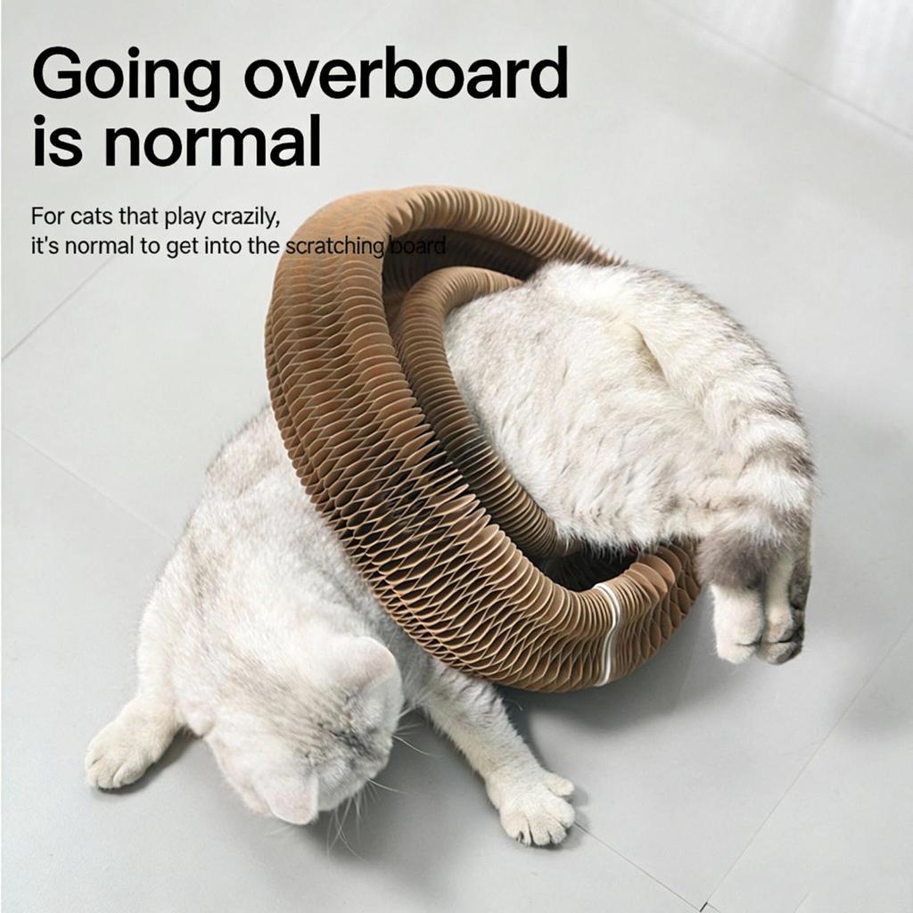 Scratcher Toys For Indoor Cats Kurlz Organ Scratcher Board, Cardboard Scratching Board Ball Scratcher Pad