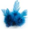 Cock Feathers - Turquoise - Bag of 3g - Length 10 Cm