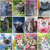 Кошка DIY 5D алмазная живопись полная круглая дрель стразы мозаика животное Алмазная вышивка наборы крестиков подарок домашний декор