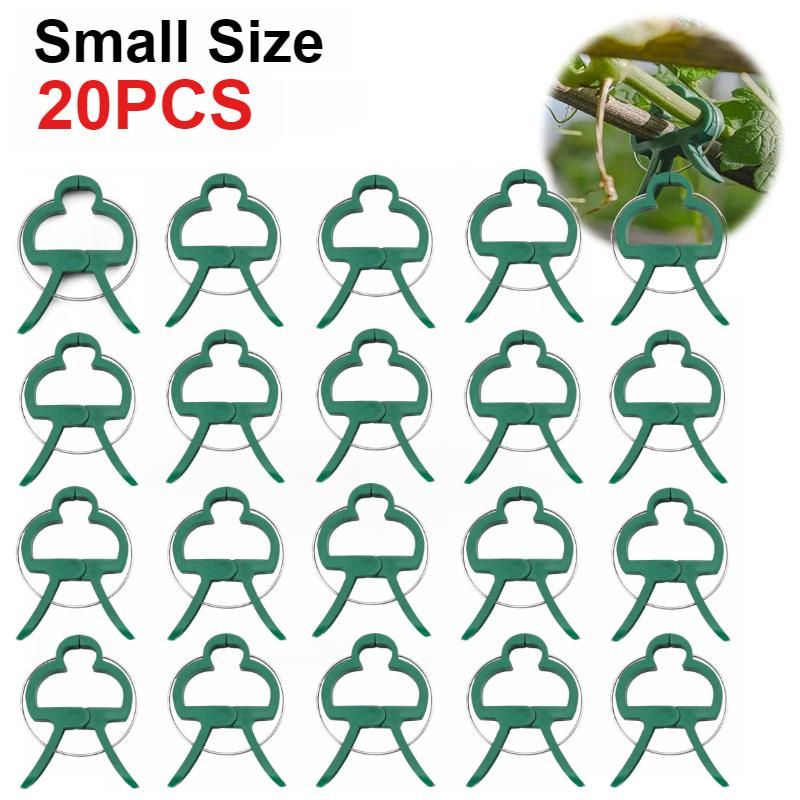 50 шт. фиксированных зажимов для растений, многоразовый зажим для садовой теплицы, кронштейн для фиксированных растений, инструментов для поддержки стеблей саженцев виноградной лозы