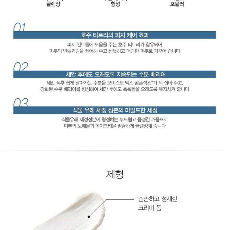The Saem - Healing Tea Garden Cleansing Foam - 4 Types