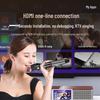 SANSUI 91P Home KTV Sound System CN plug (adapter included) (CN version)