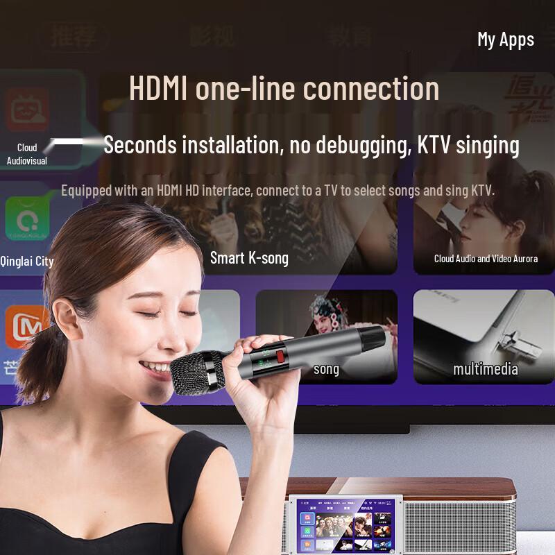 SANSUI 91P Home KTV Sound System CN plug (adapter included) (CN version)