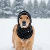 Fleece Pet Transformation Hat High Neck Drawstring Adjustment Dog Soothing Hat Comfortable Warm Pet Ears Covers Snow Activities