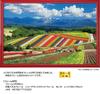 Yanoman [Made in Japan] 1000-Piece Jigsaw Puzzle: Japanese Landscape: Four Seasons Hills and the Tokachi Mountain Range (Hokkaido) (50x75cm) 10-1422.