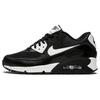 Air Max 90 Essential Металлический серебристый Женские 616730-023