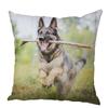 Персиковый кожаный чехол для подушки Подушка с изображением овчарки Домашнее животное Животное Подходит для детской комнаты