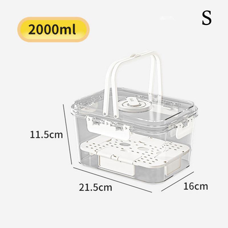 Picnic Box Clear Food Storage with Drain Plate for Easy Outdoor Use