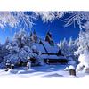 5D Алмазная картина Снежный пейзаж Пейзаж Алмазная вышивка