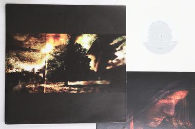 LP Пластинка KRISTOFFER GILDENLOW - Rust KG001 BLACKLAKE 2012 Нидерланды Рок Б/У