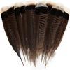 Feathers Natural Quill Feathers 8-10inch Wild Turkey Tails Feathers Project Collection DIY Crafts