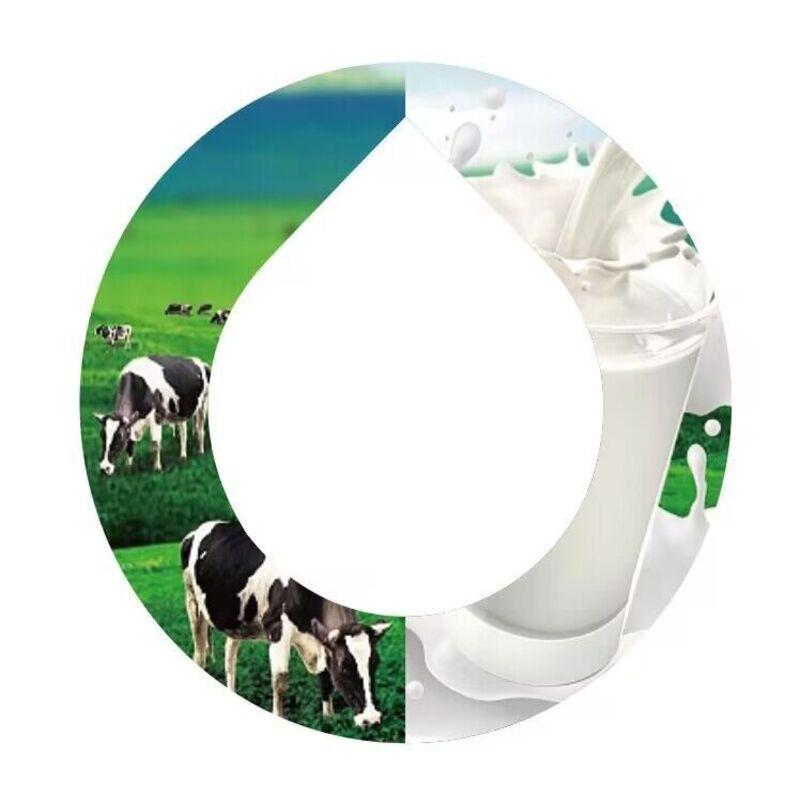 Бутылка для воды Ароматические капсулы Креативные капсулы с ароматом для ароматизированных напитков