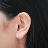 Милые и модные простые зеленые глаза маленькие серьги лисы серьги девушка ветер