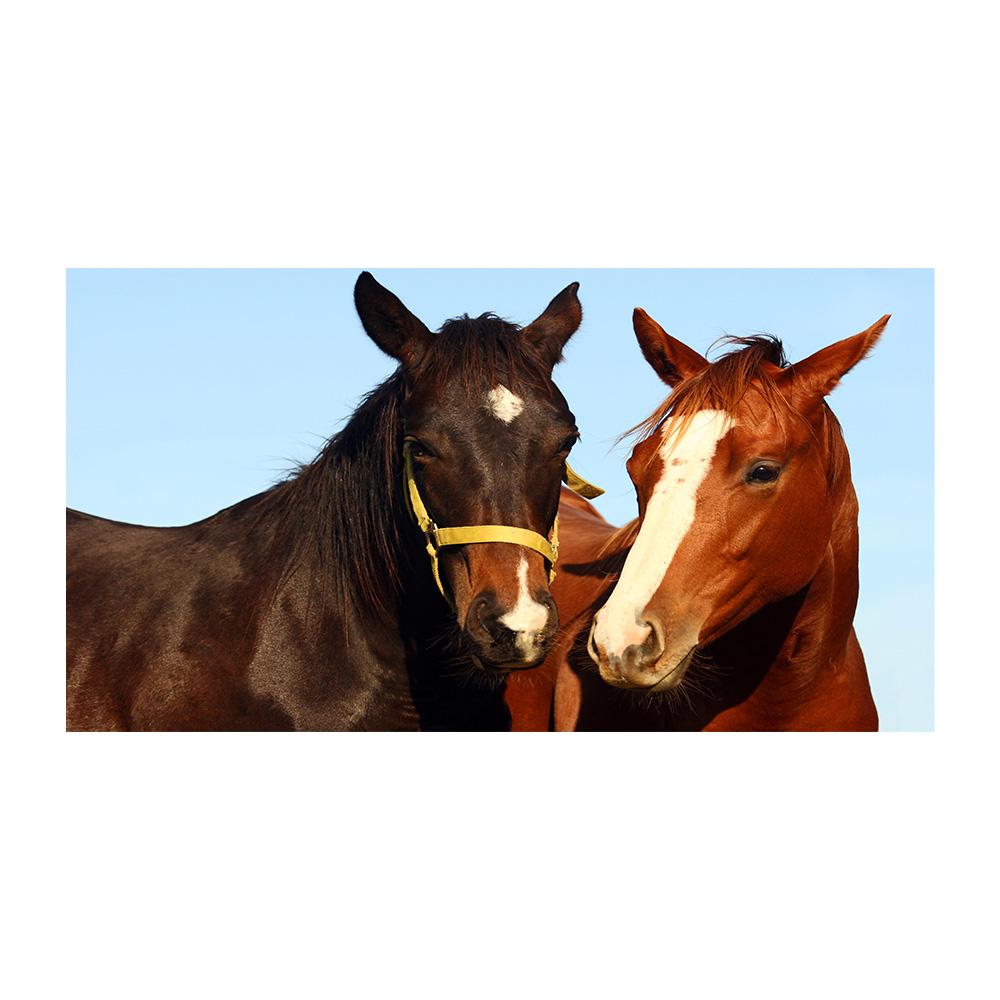 Modern Galloping Horses Landscape Canvas Painting Posters and Prints Wall Art Picture for Living Office Room Bedroom Home Decorating