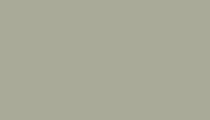 Dupli-Color 1-1020 Аэрозоль 400мл Светло-серый