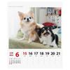 2025 Чихуахуа Сенрю (Еженедельно) Календарь №025