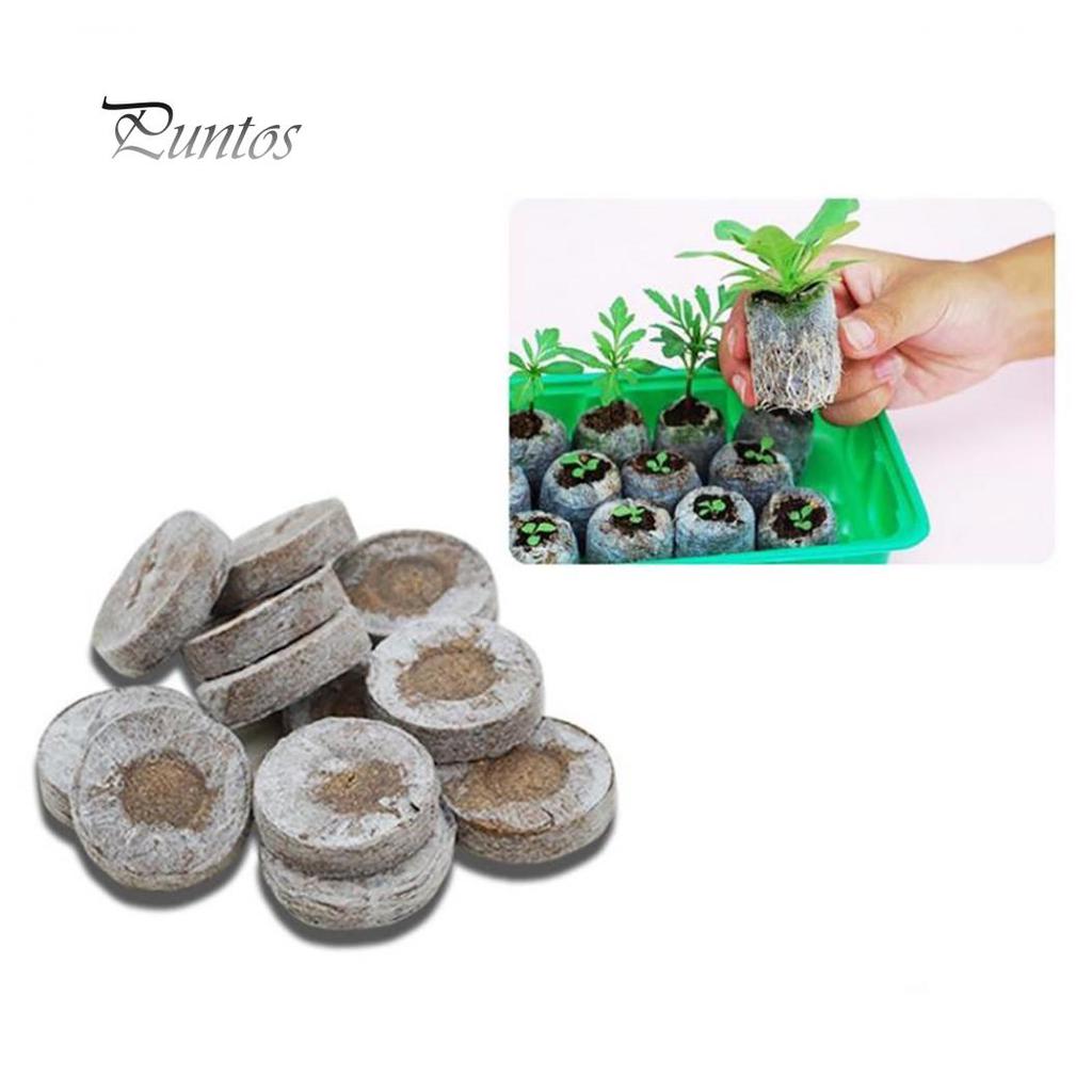 Торфяные блоки для выращивания рассады