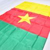 Национальный флаг Камеруна 90*150см 3x5 Футов для митинга Парада вечеринки Вывешивание Домашнее украшение баннер