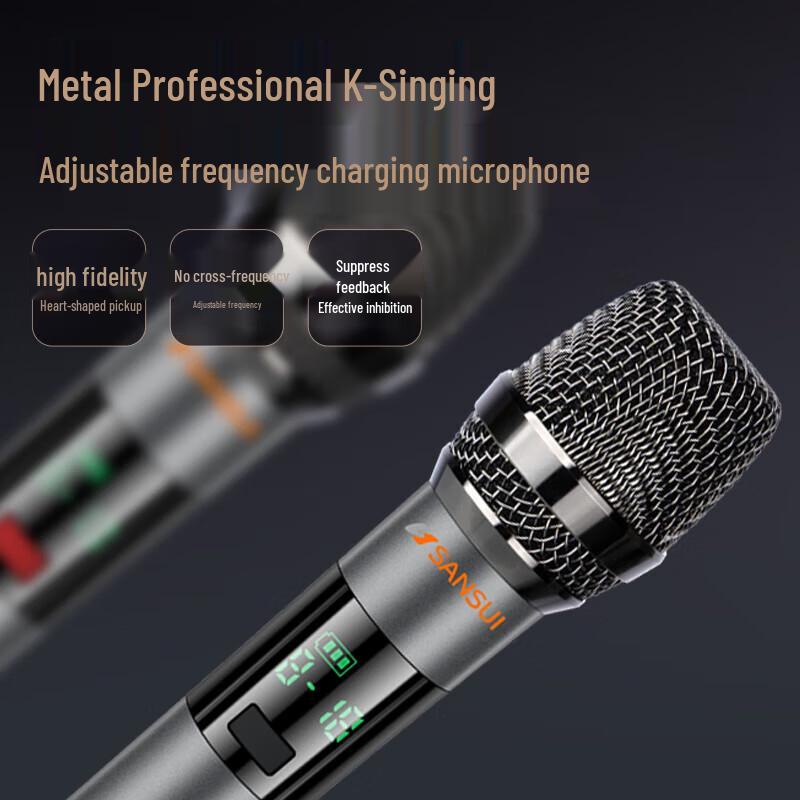 Sansui PE122 Smart Outdoor KTV Speaker System