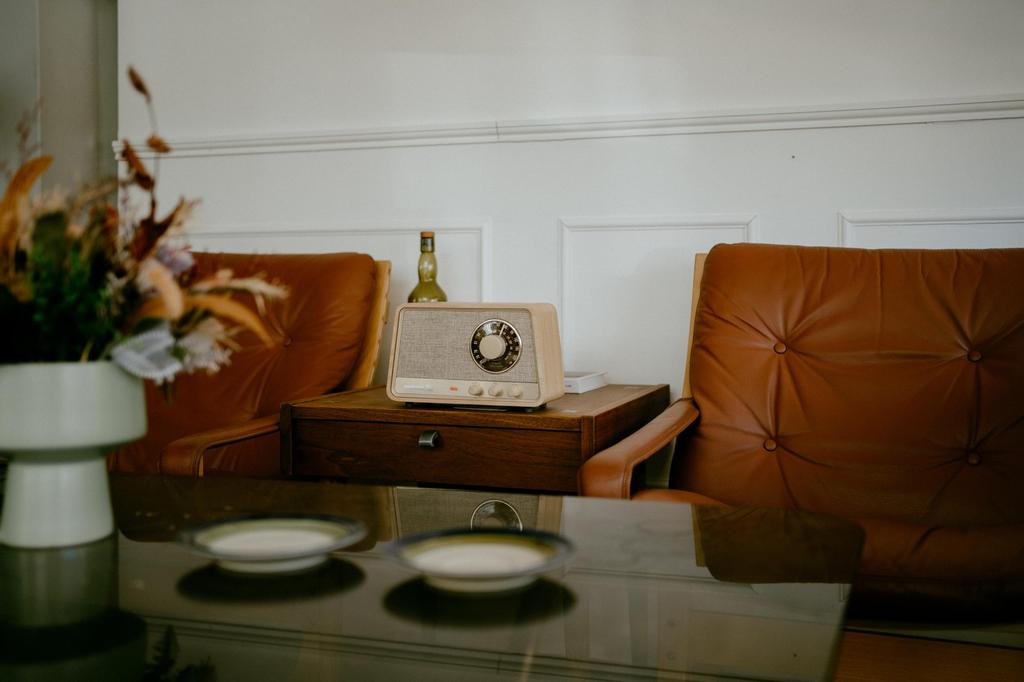 X HD compatible radio Bluetooth speaker with premium wood cabinet []Sangean WR-101 AM/FM/apt Bluetooth/AUX (white oak)