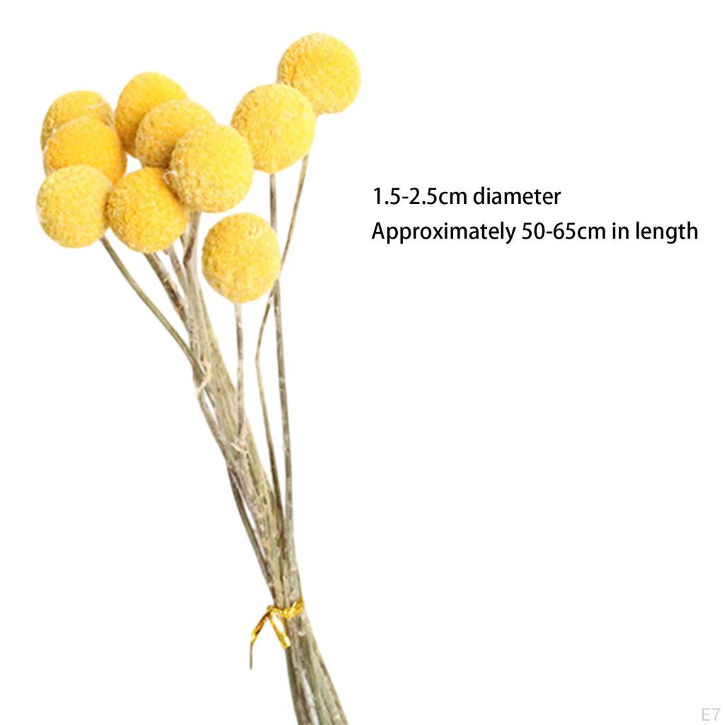 Dried Flower Assortment for Stylish Home Decor