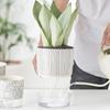 Transparent Self-watering Plants Pot Green Plants Lazy Flower Pot  Garden Supplies