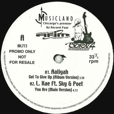 12-дюймовая пластинка РАЗЛИЧНЫЕ - Musicland 773 ML773 Musicland US Рэп и Хип-Хоп/R&B Б/у