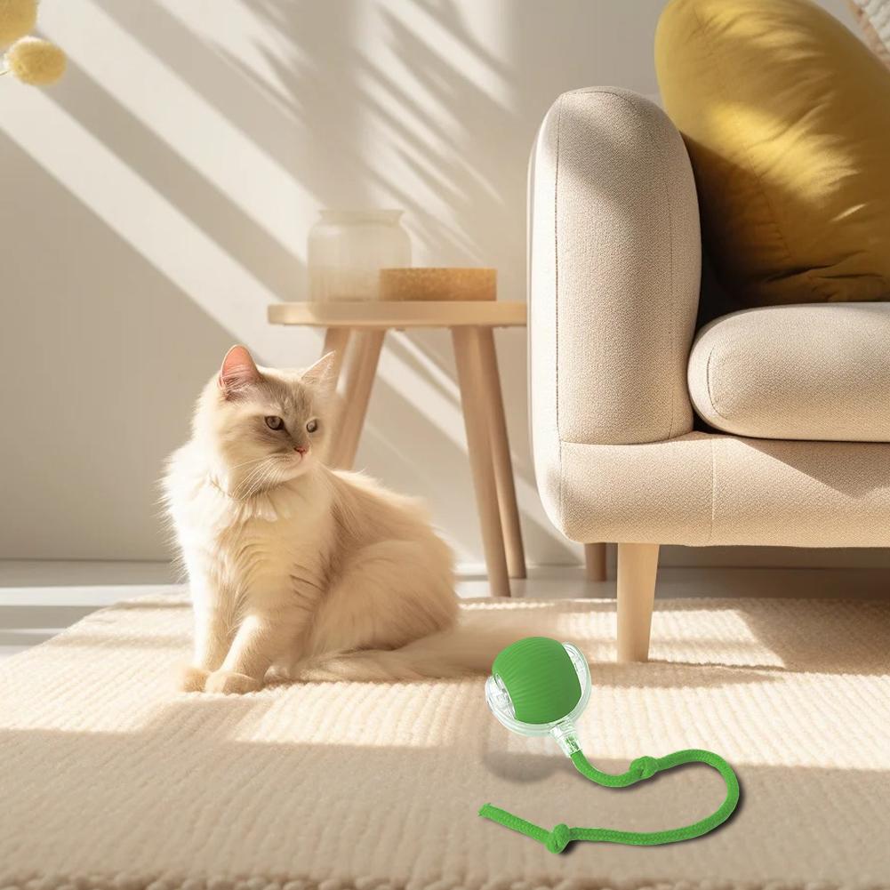 Pet Toy Ball Interactive Roller Ball for Cat and Dog Self-Entertaining Rechargeable Electric Roller Ball Toy Green